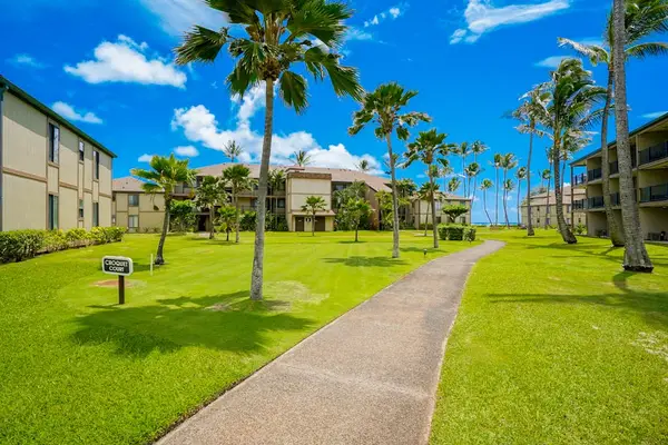 Palm-Lined Garden Path Through The Resort