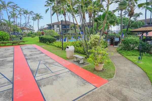 Colorful Outdoor Shuffleboard Court