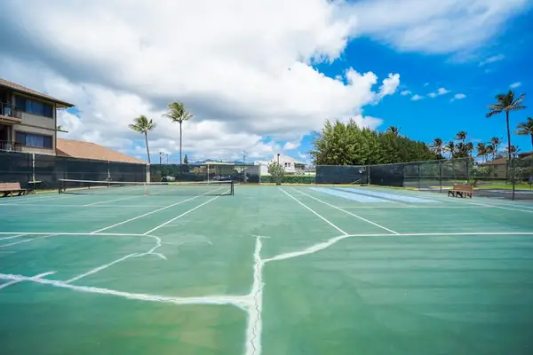 Open Tennis Court Under Tropical Skies