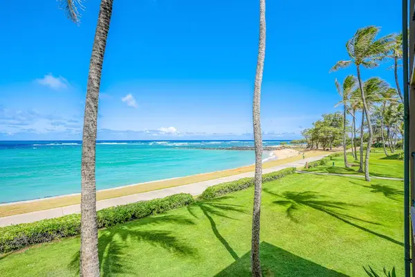 Beautiful Oceanfront Lawn With Palm Trees