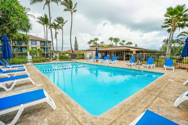Inviting Resort Pool With Tropical Surroundings