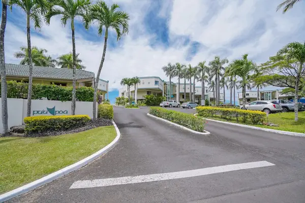 Palm-lined entrance road welcomes guests through landscaped resort surroundings lushly