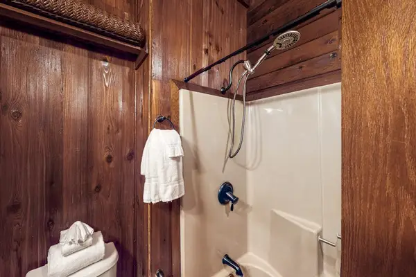 Full bathroom with a walk-in shower.