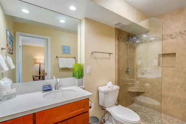 Full bathroom with a spacious vanity and walk-in shower.