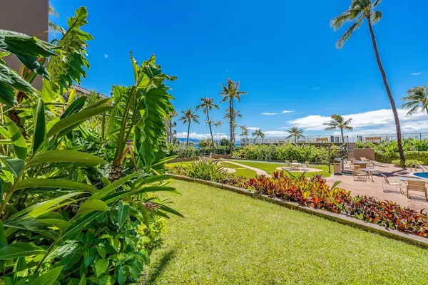 Beautiful garden area with palm trees and space to relax outdoors.