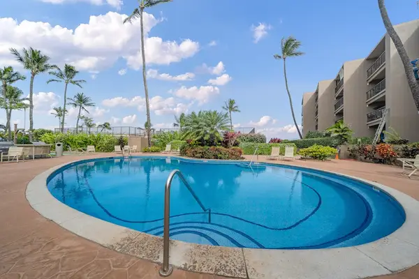 Resort pool surrounded by swaying palm trees and lounge space.