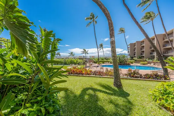 Lush green lawn with tropical landscaping throughout the resort.