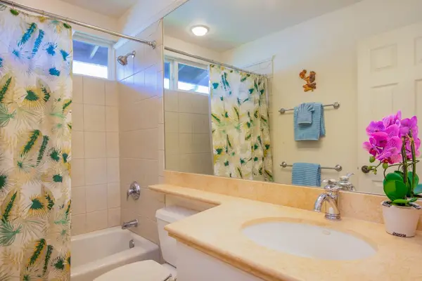 Bright bathroom with a shower and vanity