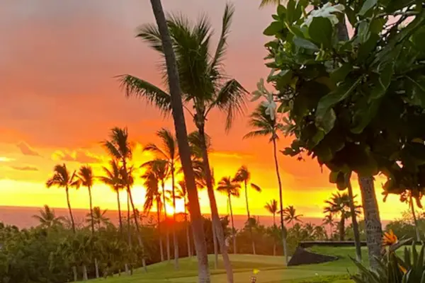 Breathtaking Tropical Sunset Views Over the Grounds