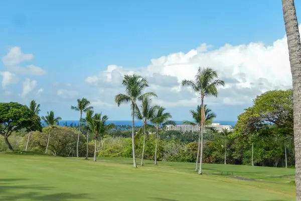 Panoramic Golf Course & Distant Ocean Horizon Views