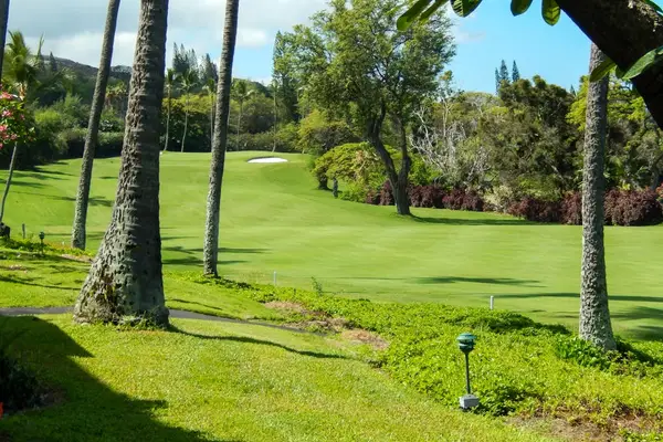 Spacious Sunlit Grounds & Palm-Lined Lawns