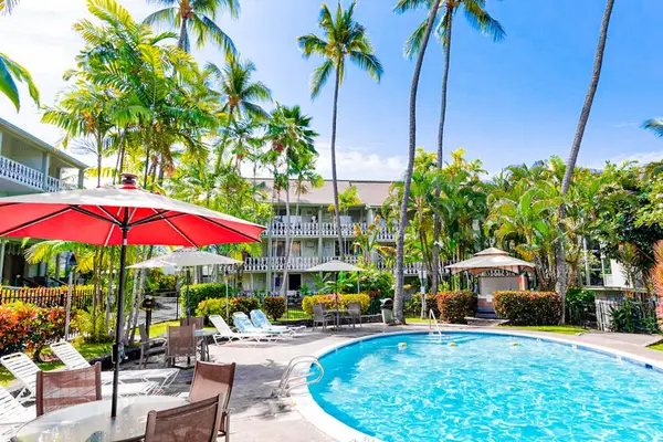 Poolside Paradise Under Swaying Palms