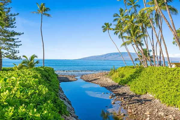 Admire breathtaking ocean views framed by lush tropical landscaping.