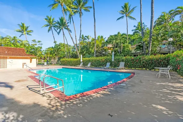 Take a refreshing dip in the resort pool surrounded by swaying palm trees.