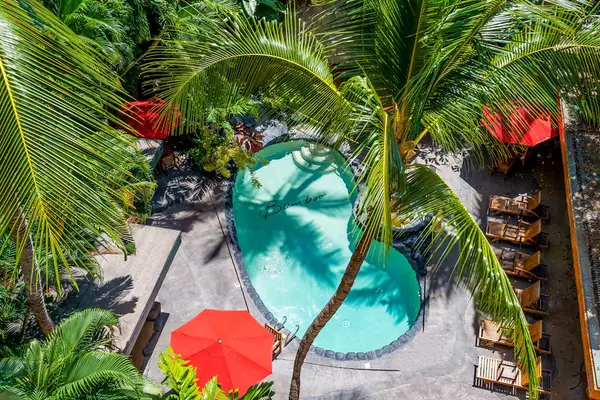 Take in a beautiful aerial view of the pool area and its inviting resort setting.