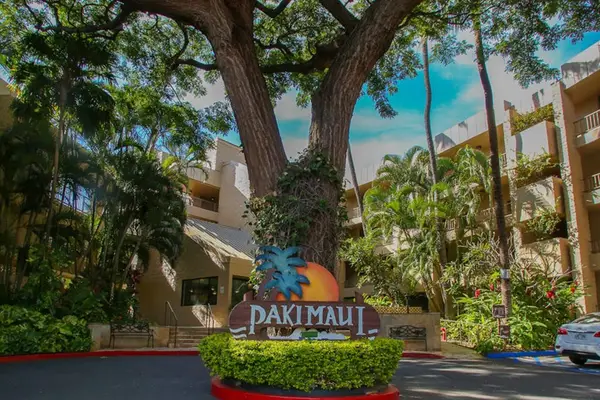 Tropical Entrance To Paradise