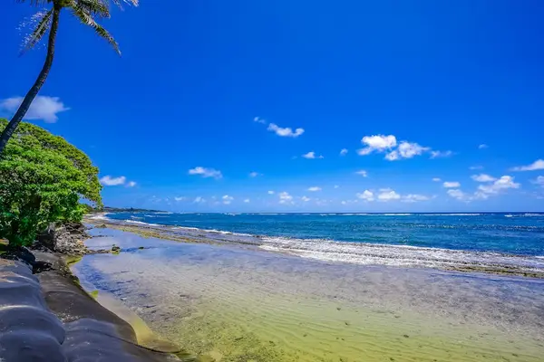 See where paradise meets the Ocean