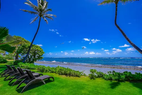 Relax in the Peaceful Backyard