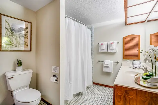 Guest bathroom with tub/shower combo.