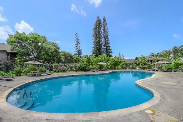 Take a dip in the resort-style pool, surrounded by swaying palms