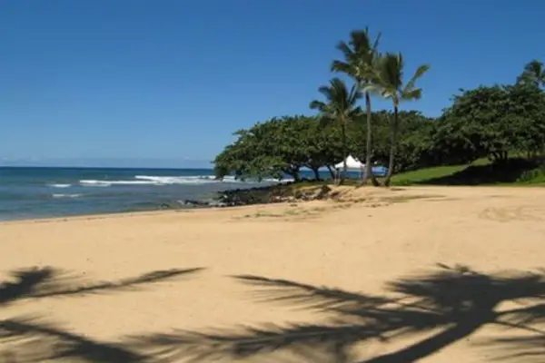 Beach view