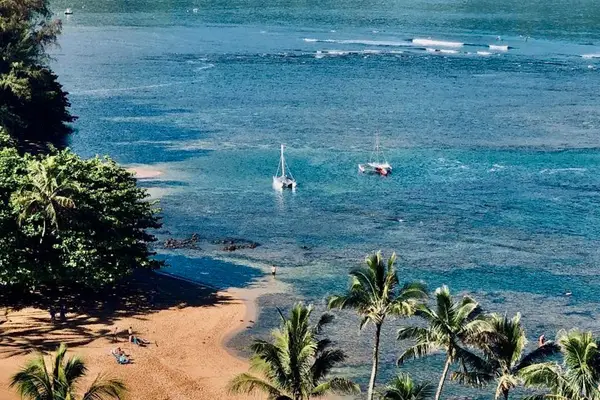 Discover the beauty of this tropical island resort