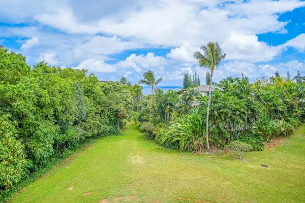 Relax in the peaceful backyard surrounded by tropical landscaping