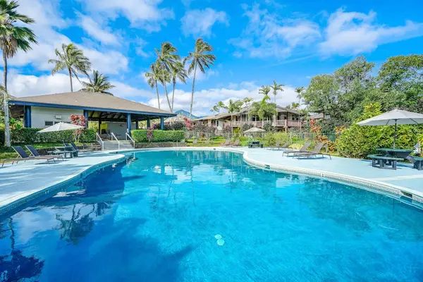 Resort style pool glistens beneath palms with sunny loungers nearby