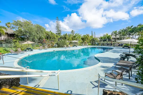 Curved swimming pool sparkles beside deck chairs and tropical greenery