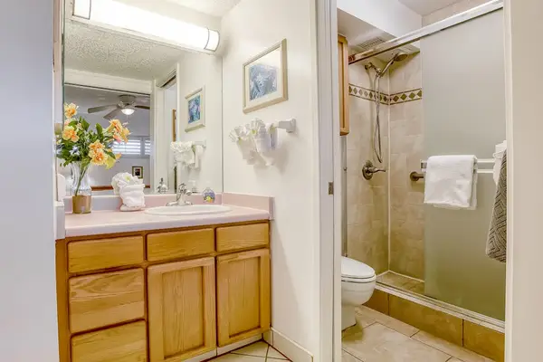 Full bathroom with a walk-in shower