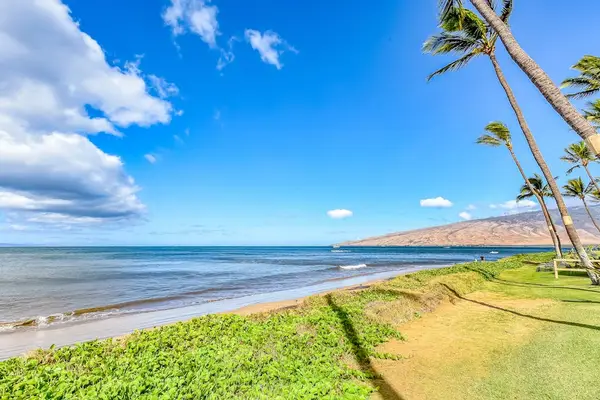 Oceanfront lawn overlooking the beautiful beach