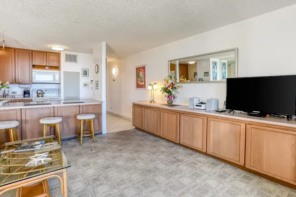Open living area with a fully equipped kitchen