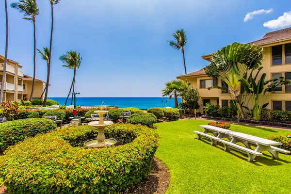 Lush Courtyard By The Sea