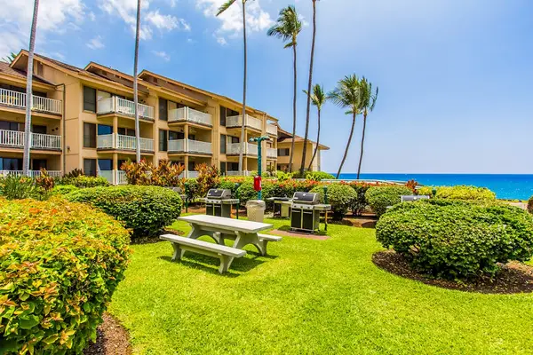 Garden Courtyard By The Ocean