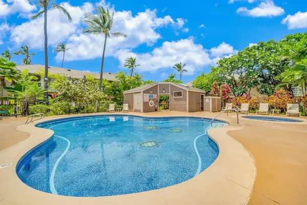 Resort-Style Swimming Pool & Hot Tub Area Surrounded by Palm Trees