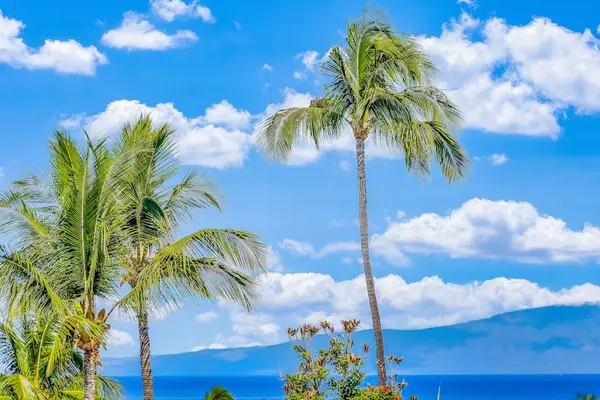 Tropical Ocean View framed by Soaring Palm Trees under Sunny Skies