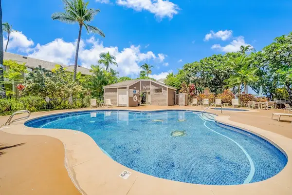 Resort Swimming Pool Area surrounded by Tropical Palm Trees & Lounge Seating