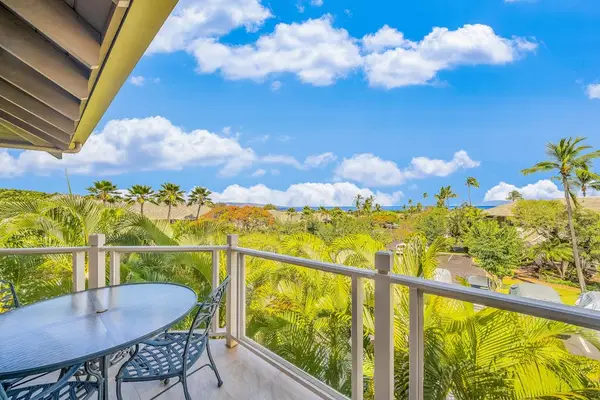 Elevated Patio Angle Capturing Surrounding Palm Trees & Distant Water Views