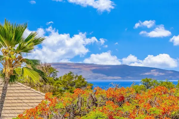 Scenic Coastal Landscape Showing Ocean Horizon, Palm Trees & Blooming Flora