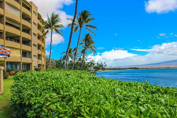 Island Sand Resorts Tropical Paradise