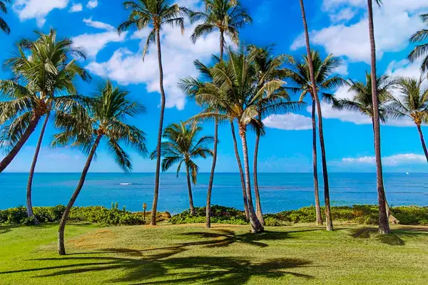 Take in the scenic beauty of this tropical paradise or unwind on the nearby sandy beaches.