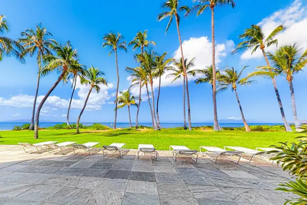 Take in the scenic beauty of this tropical paradise or unwind on the nearby sandy beaches.