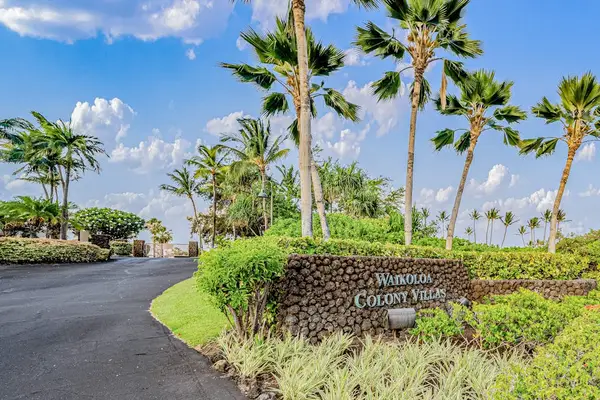 Palm Lined Resort Community Entrance