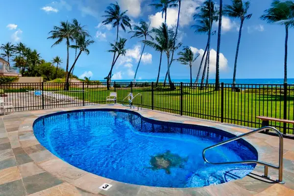 Sparkling Pool Surrounded By Palms