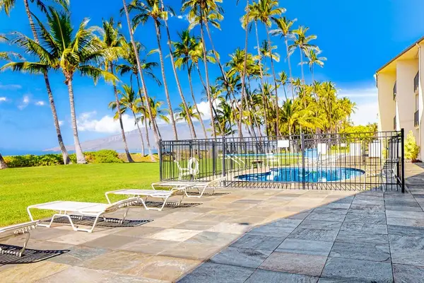 Resort Pool With Swaying Palm Views