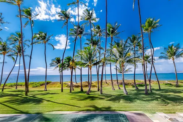 Endless Palm Lined Ocean Views
