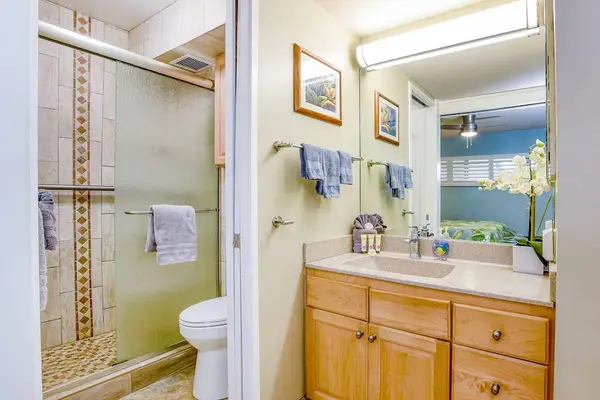 Newly remodeled bathroom with walk-in shower.