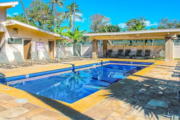 Resort Pool Surrounded By Palm Trees