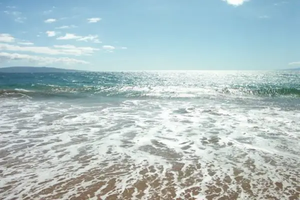 Waves Crashing Along The Shoreline