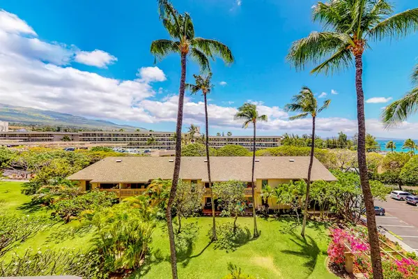 Aerial View of Resort Grounds and Tropical Palm Trees